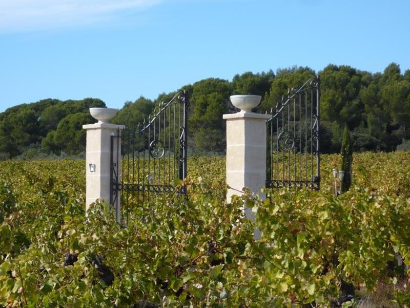 Chateau De Valloubiere Saint-Jean-de-Fos Экстерьер фото